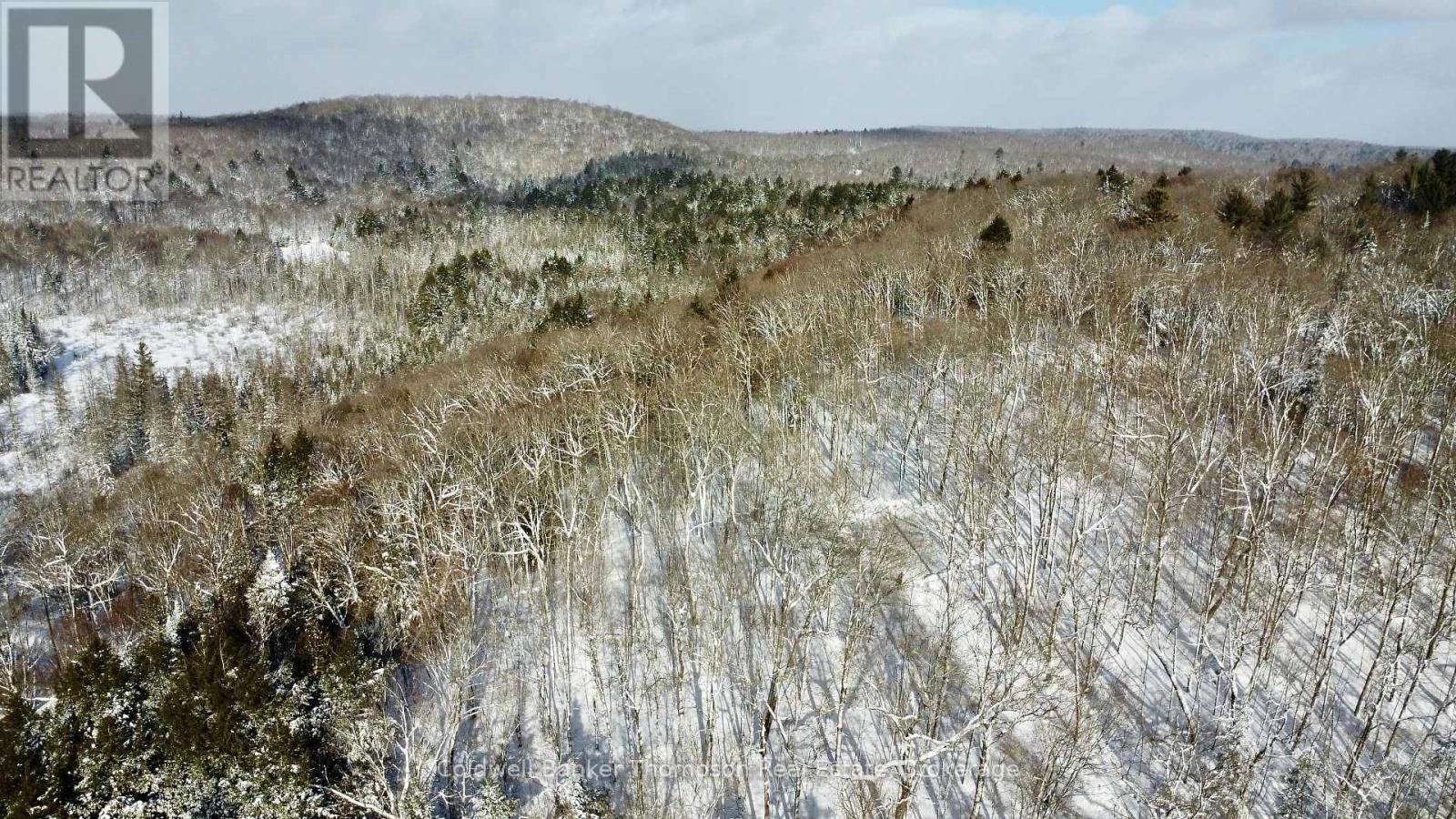 265 Sharon Drive, Huntsville, Ontario P1H 2J6 - Photo 2 - X12730338