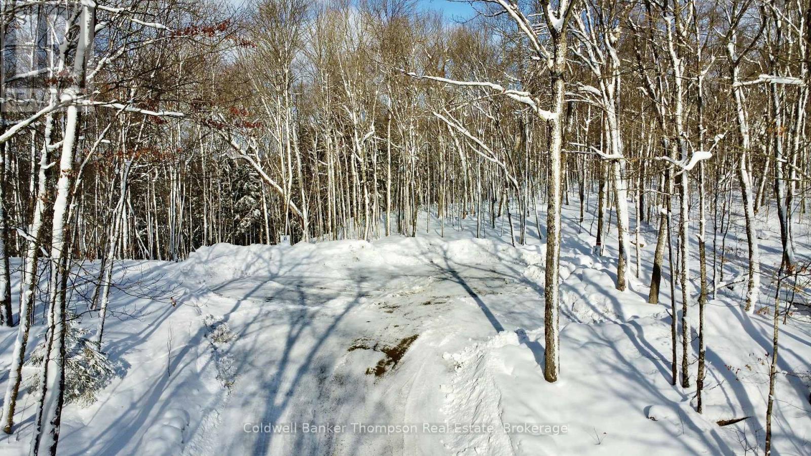 265 Sharon Drive, Huntsville, Ontario P1H 2J6 - Photo 25 - X12730338