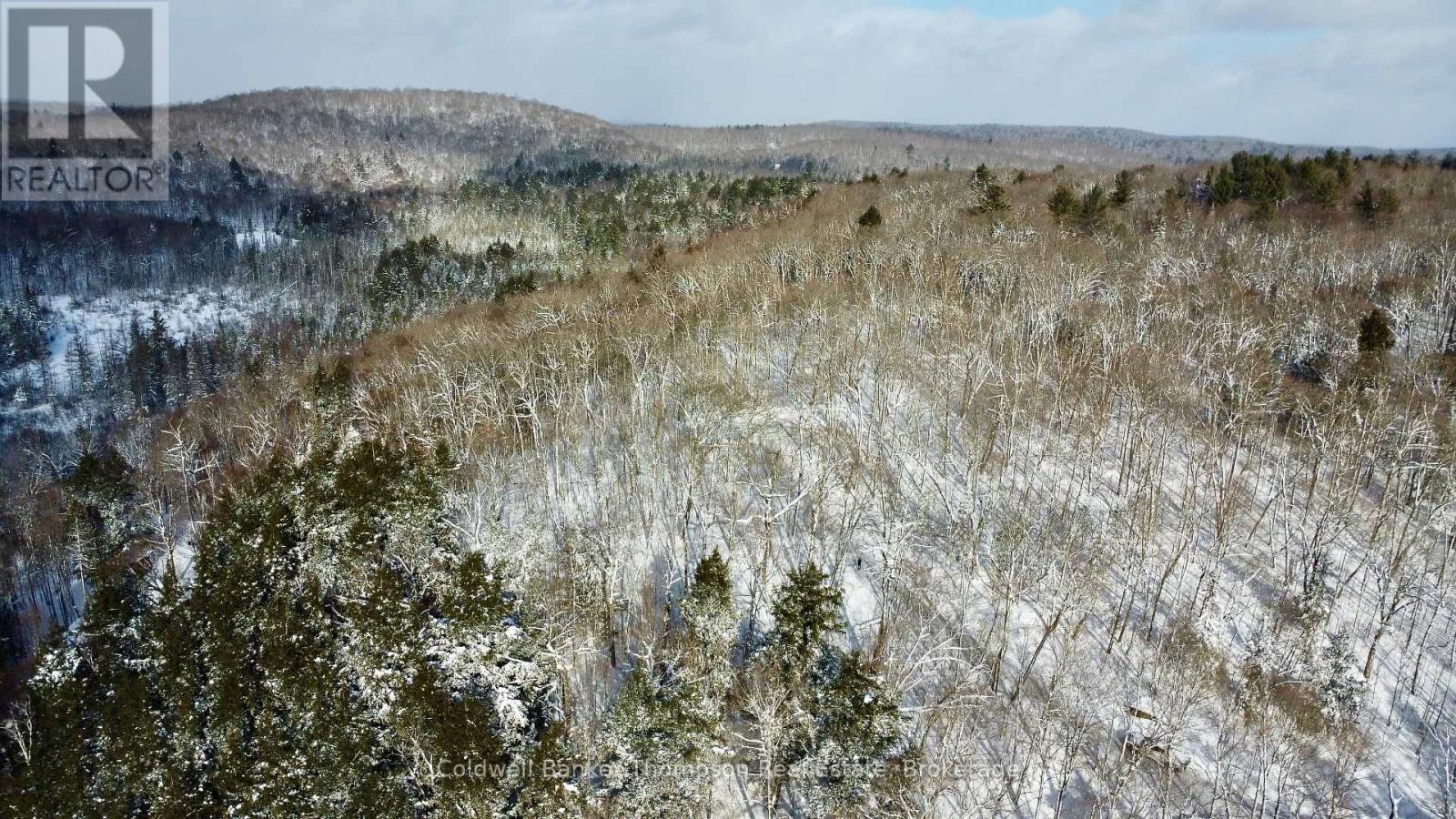 265 Sharon Drive, Huntsville, Ontario P1H 2J6 - Photo 3 - X12730338