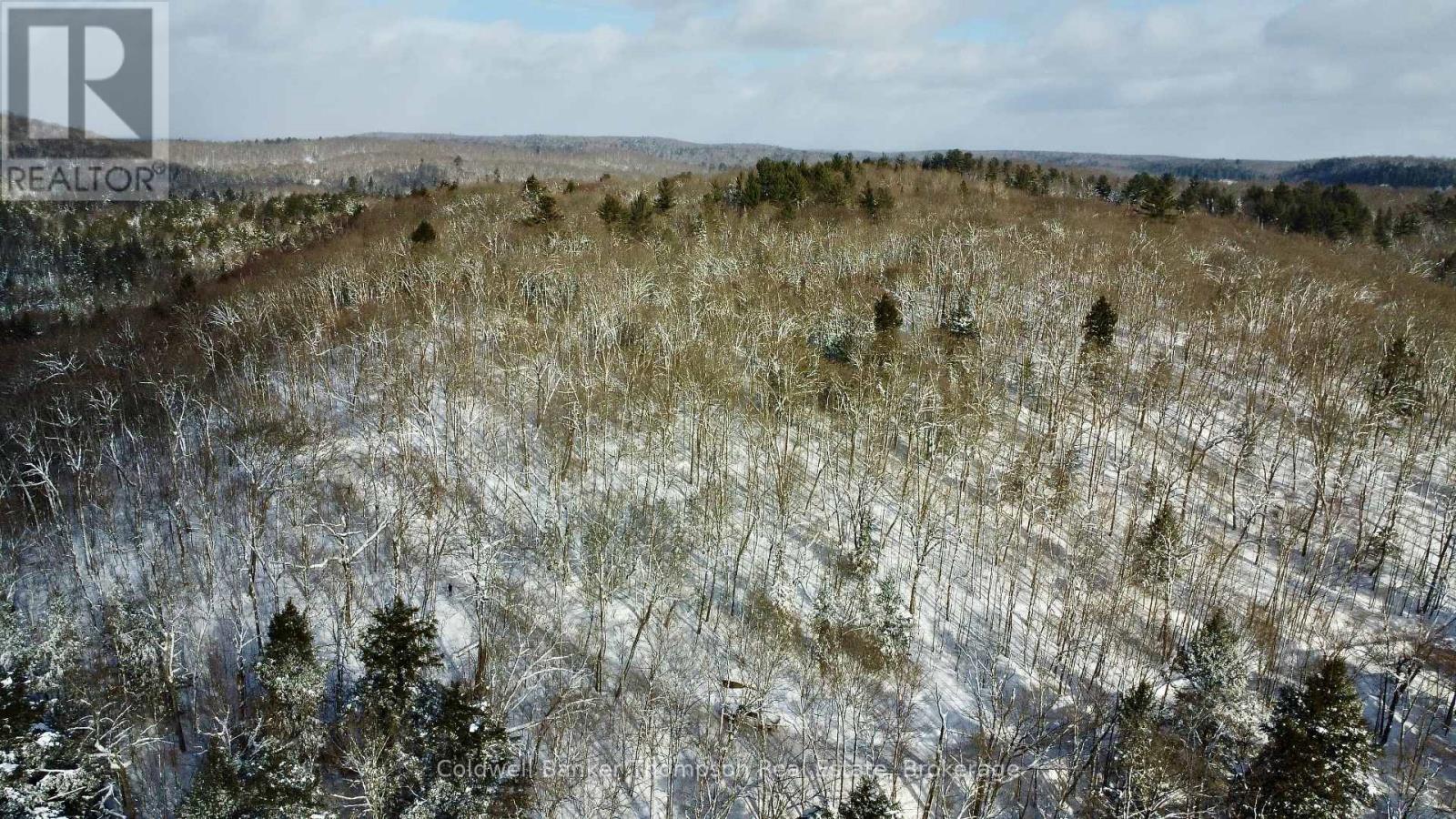 265 Sharon Drive, Huntsville, Ontario P1H 2J6 - Photo 5 - X12730338