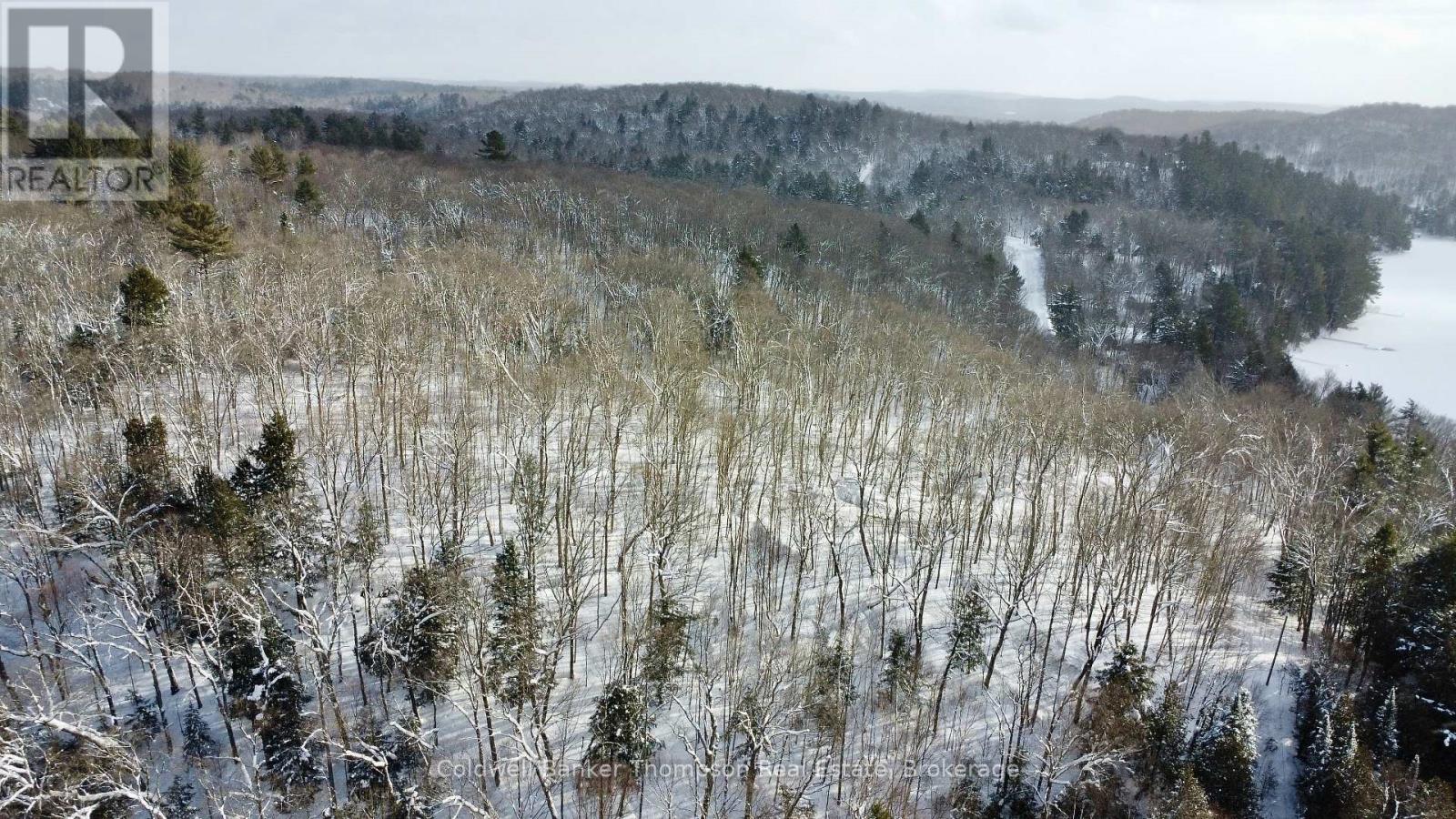 265 Sharon Drive, Huntsville, Ontario P1H 2J6 - Photo 6 - X12730338