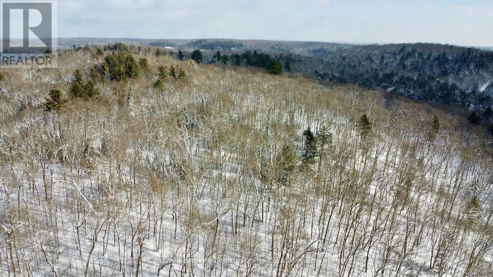 265 Sharon Drive, Huntsville, Ontario P1H 2J6 - Photo 7 - X12730338