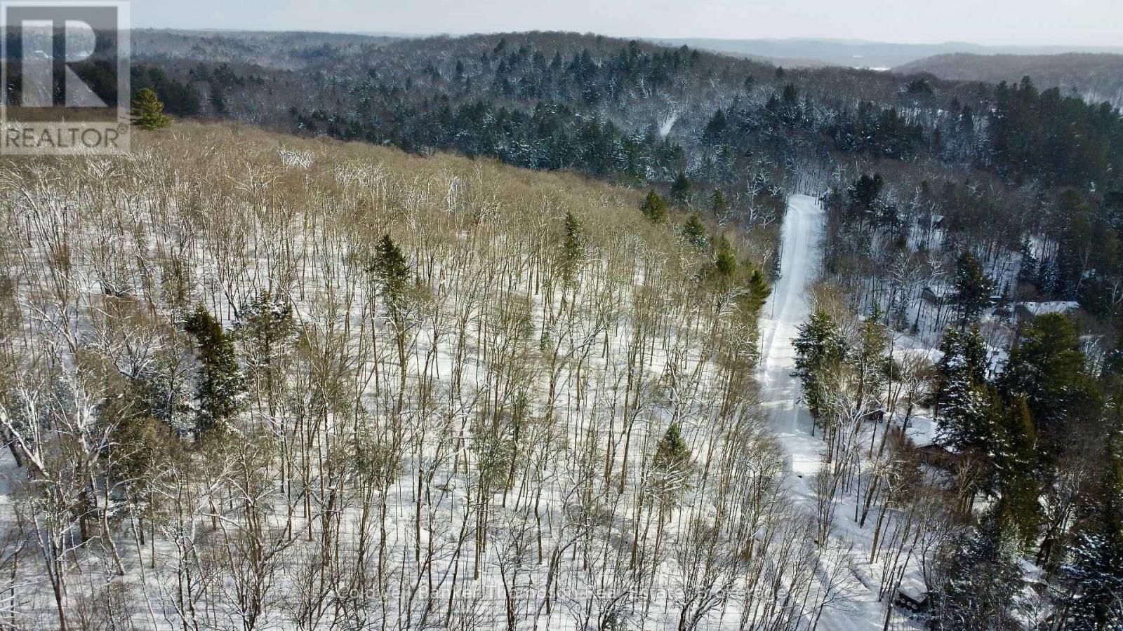 265 Sharon Drive, Huntsville, Ontario P1H 2J6 - Photo 8 - X12730338