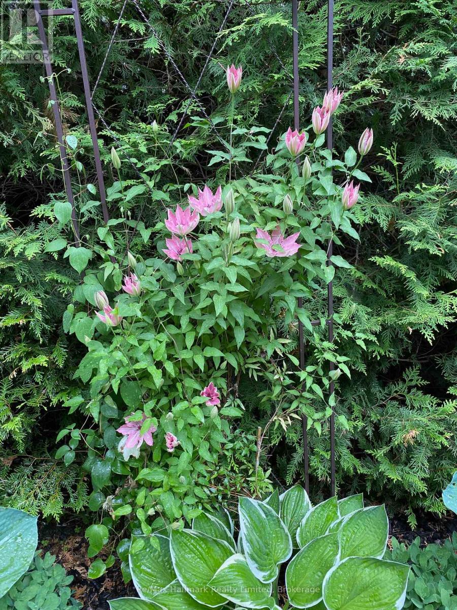 123 James Street, Bracebridge, Ontario  P1L 2B6 - Photo 38 - X12730354