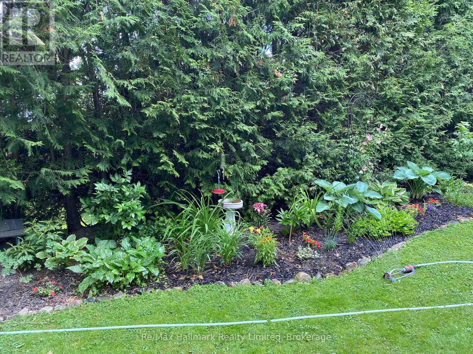 123 James Street, Bracebridge, Ontario  P1L 2B6 - Photo 39 - X12730354