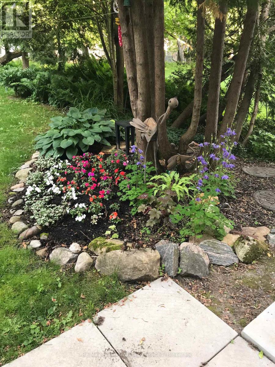 123 James Street, Bracebridge, Ontario  P1L 2B6 - Photo 4 - X12730354