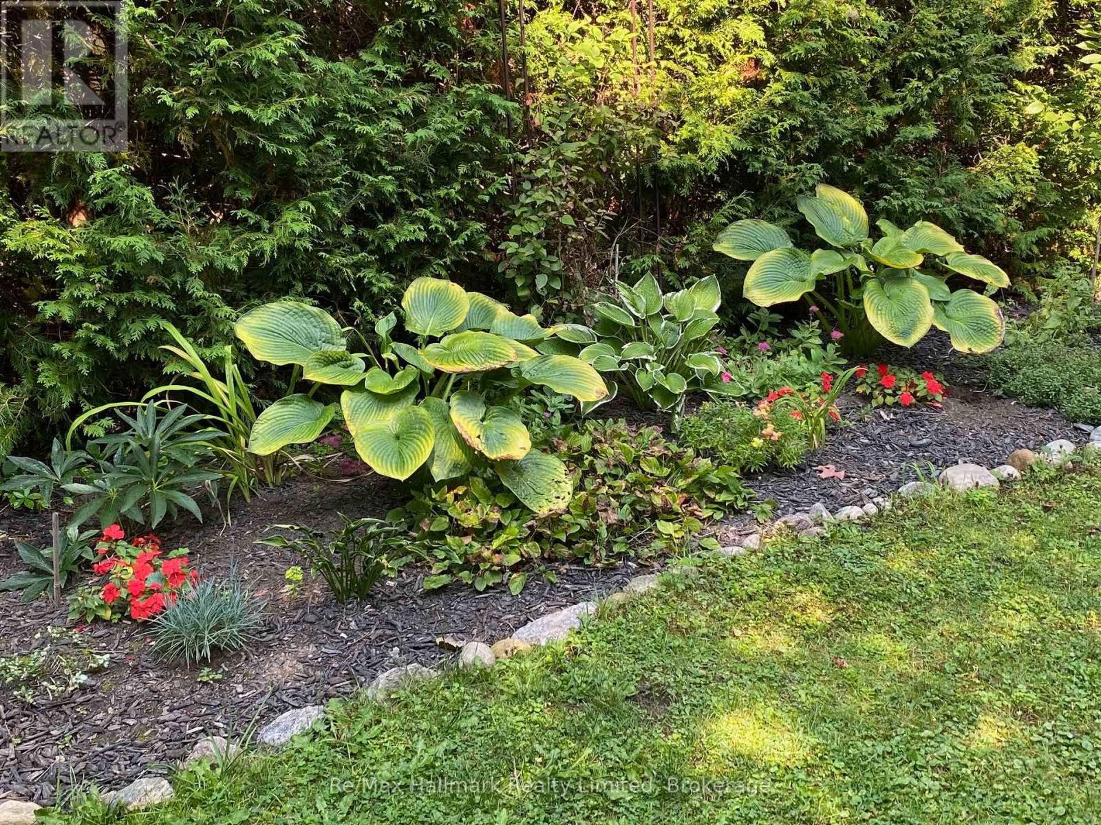 123 James Street, Bracebridge, Ontario  P1L 2B6 - Photo 40 - X12730354