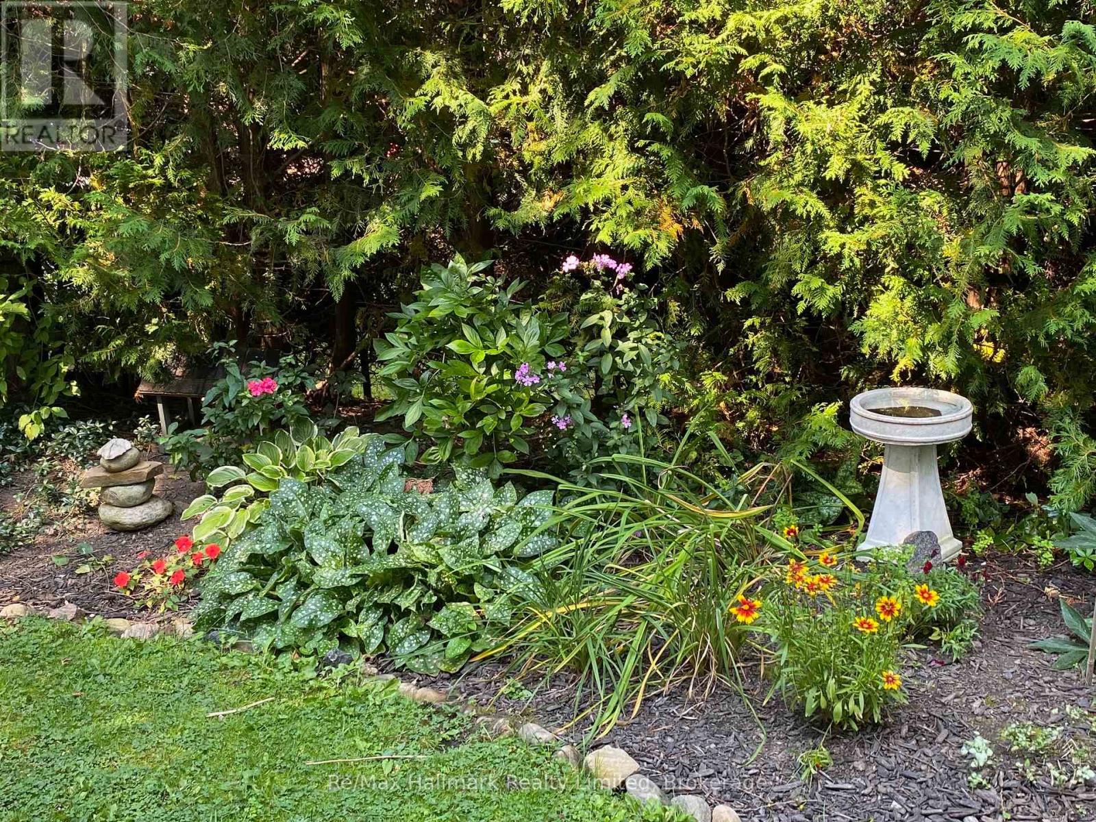 123 James Street, Bracebridge, Ontario  P1L 2B6 - Photo 41 - X12730354