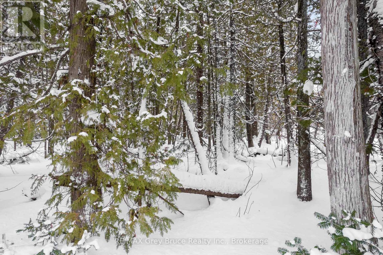 Lots 33 & 34 Big Tub Road, Northern Bruce Peninsula, Ontario  N0H 2R0 - Photo 18 - X12730426