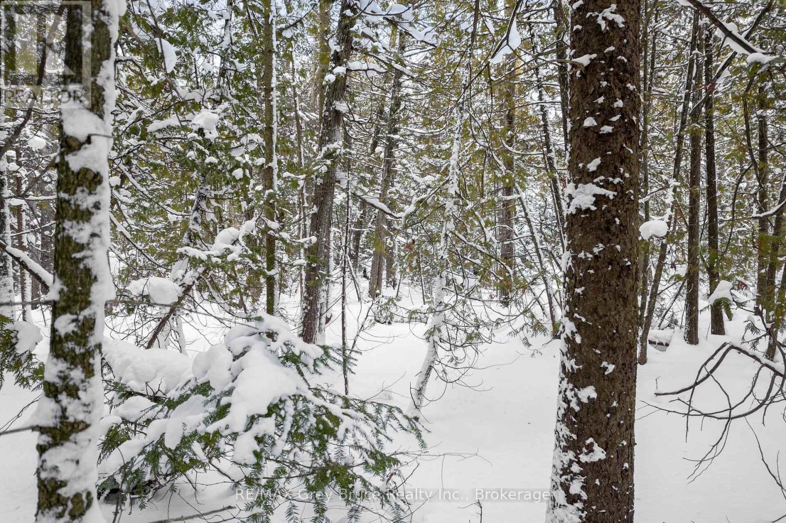 Lots 33 & 34 Big Tub Road, Northern Bruce Peninsula, Ontario  N0H 2R0 - Photo 19 - X12730426