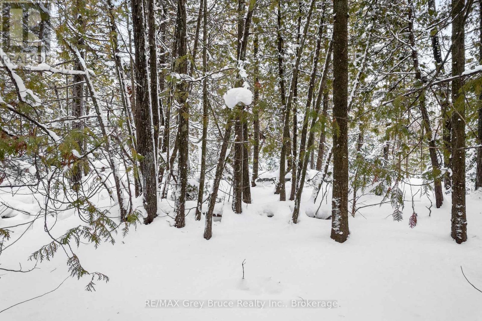 Lots 33 & 34 Big Tub Road, Northern Bruce Peninsula, Ontario  N0H 2R0 - Photo 20 - X12730426