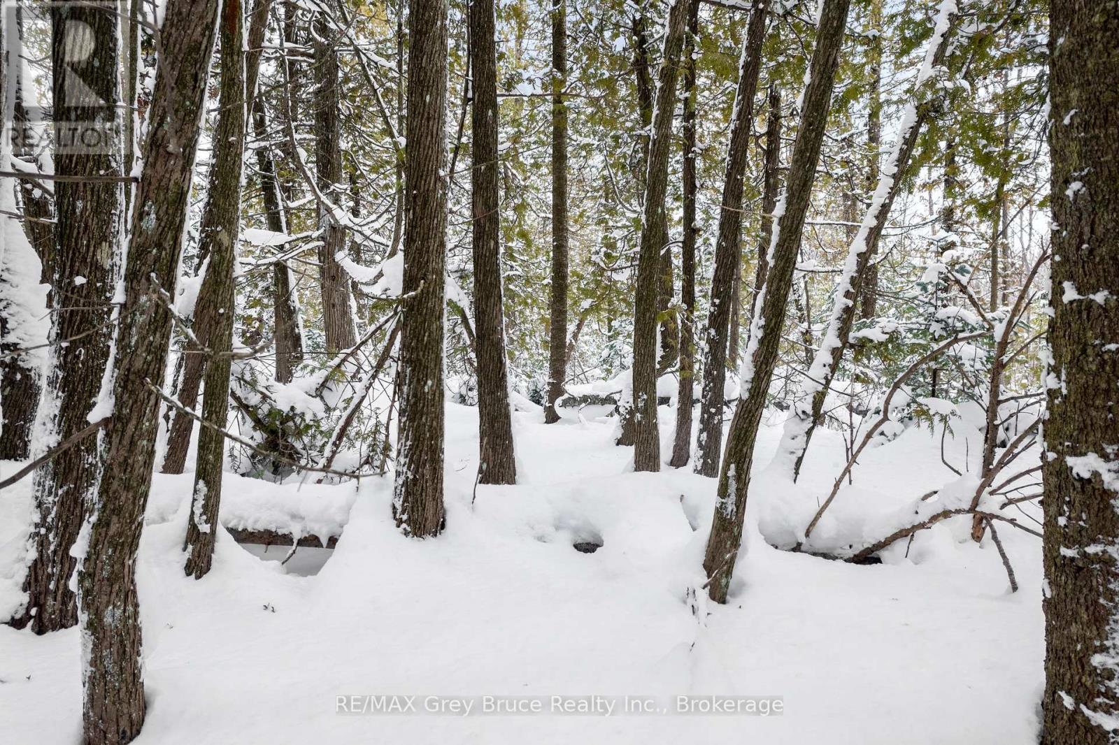Lots 33 & 34 Big Tub Road, Northern Bruce Peninsula, Ontario  N0H 2R0 - Photo 21 - X12730426