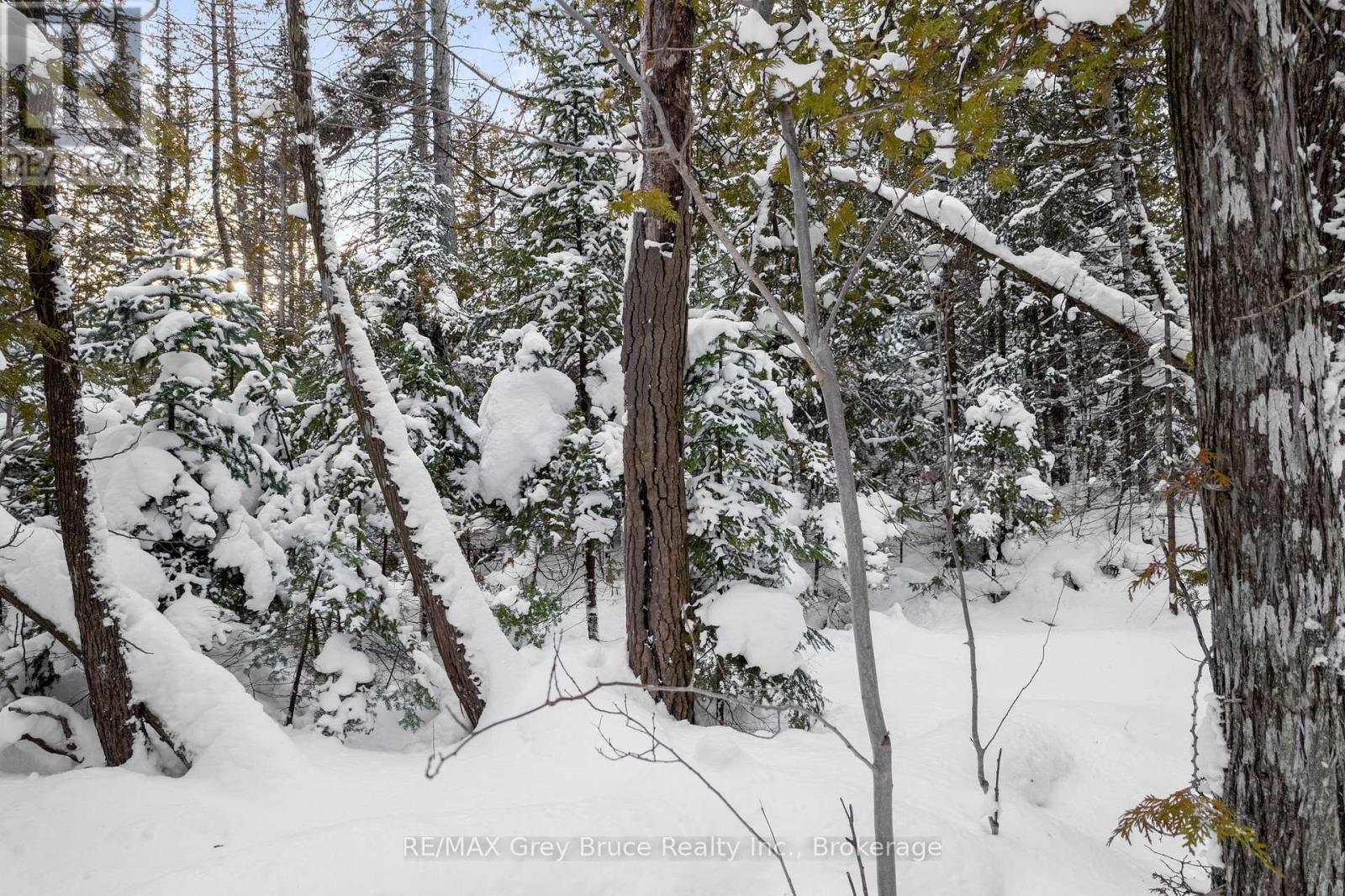Lots 33 & 34 Big Tub Road, Northern Bruce Peninsula, Ontario  N0H 2R0 - Photo 23 - X12730426