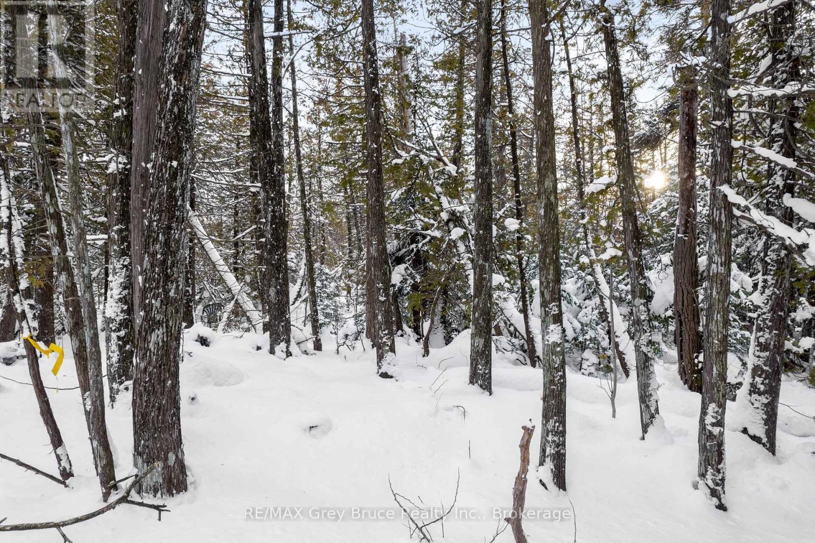 Lots 33 & 34 Big Tub Road, Northern Bruce Peninsula, Ontario  N0H 2R0 - Photo 24 - X12730426
