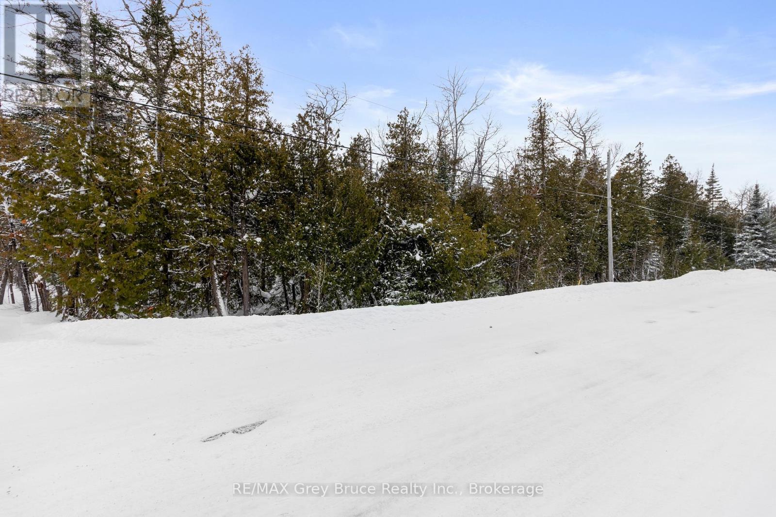 Lots 33 & 34 Big Tub Road, Northern Bruce Peninsula, Ontario  N0H 2R0 - Photo 4 - X12730426