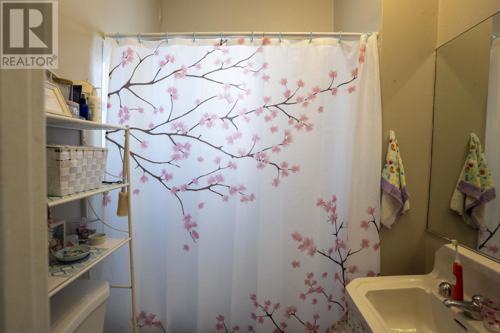 507 Van Norman St, Thunder Bay, Ontario  P7A 4E3 - Photo 5 - TB2600124