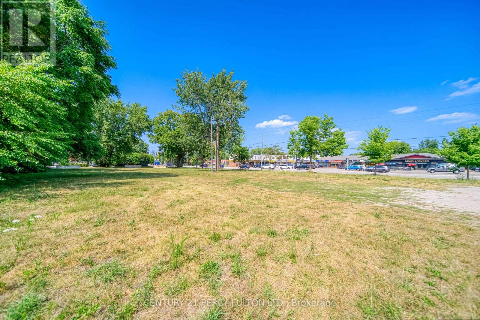 236 Cameron Crescent, Georgina, Ontario L4P 2A9 - Photo 5 - N12730386