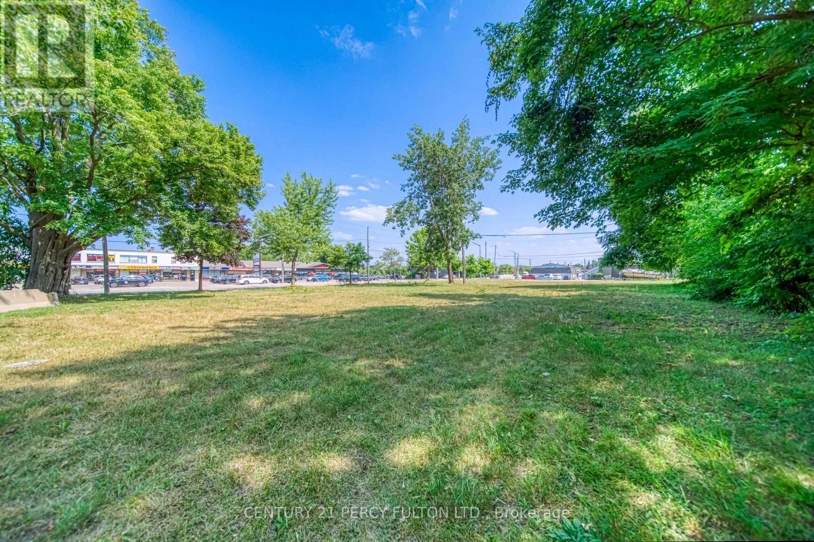 236 Cameron Crescent, Georgina, Ontario L4P 2A9 - Photo 9 - N12730386