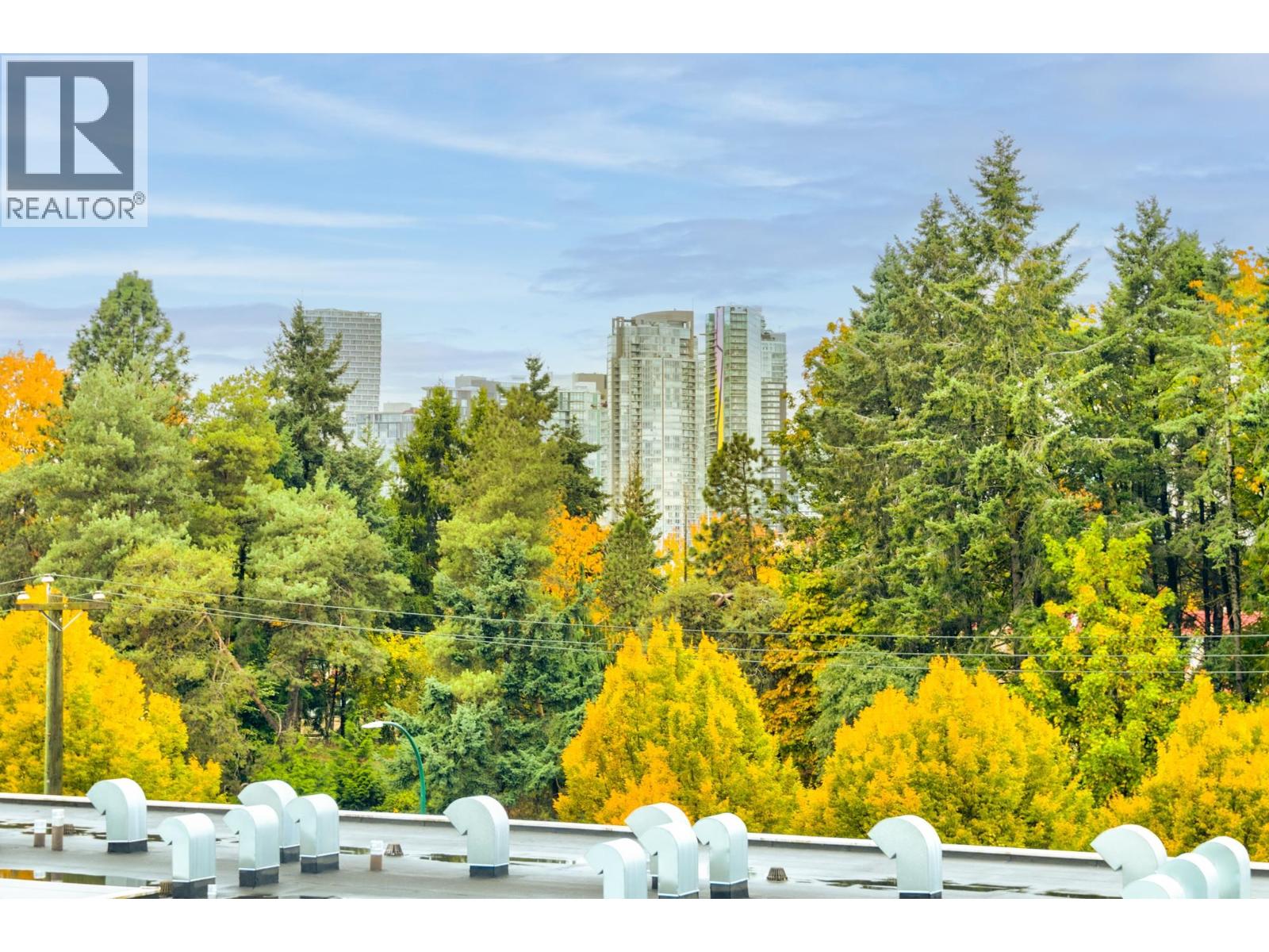 2222 Willow Street, Vancouver, British Columbia  V5Z 0C8 - Photo 3 - R3083120