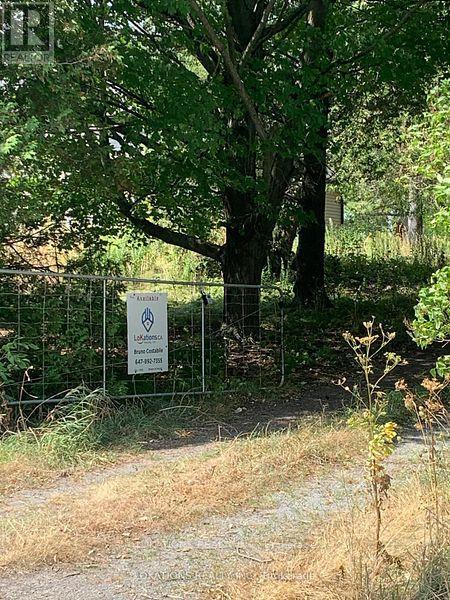 2673 County Rd 11 Road, Greater Napanee, Ontario  K0K 2Z0 - Photo 2 - X12730498