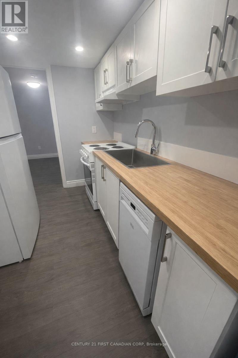 Lower - 638 Tennent Avenue, London North, Ontario  N5X 1L6 - Photo 10 - X12730574