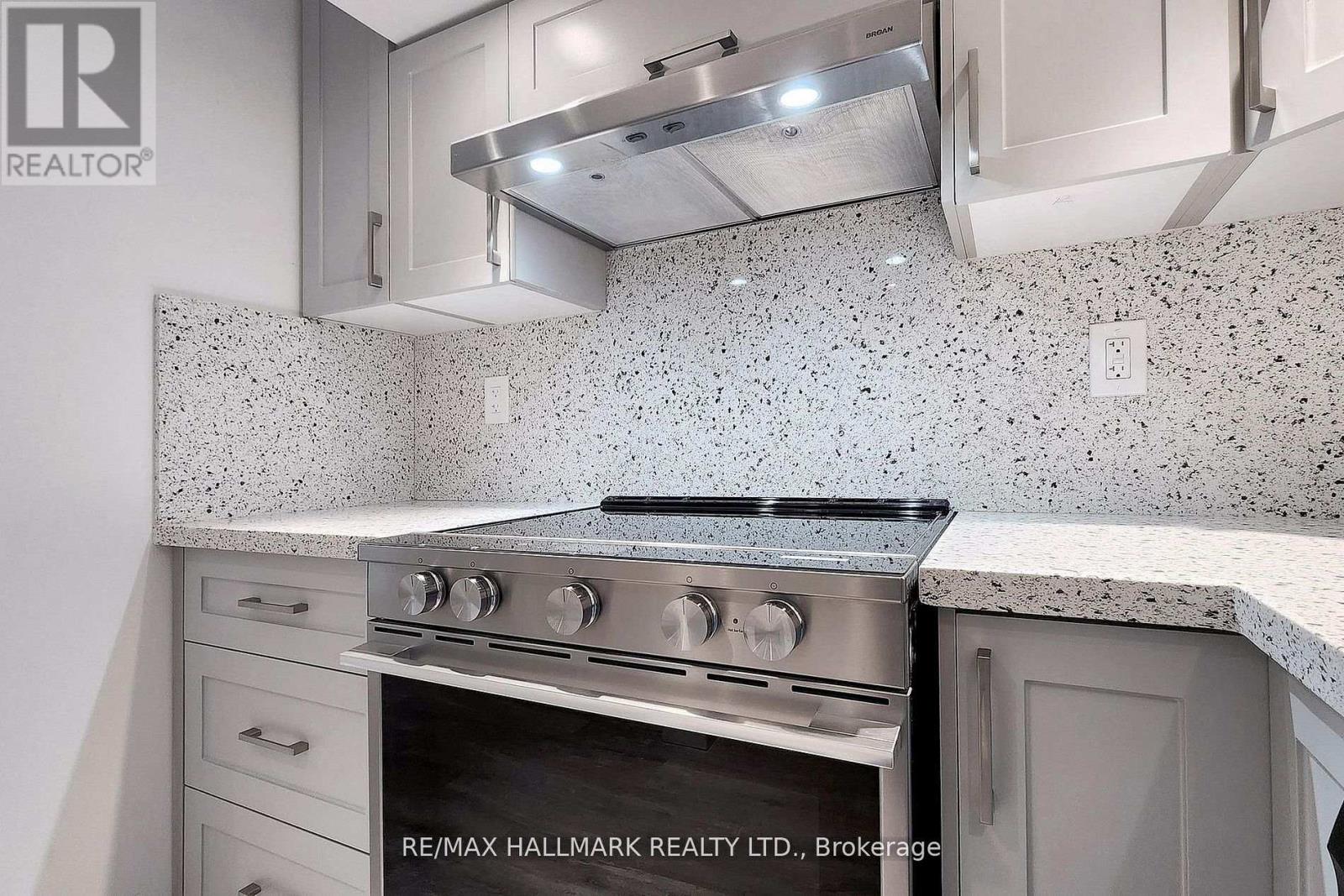 Bsmt - 1052 Eagle Ridge Drive, Oshawa, Ontario  L1K 0L7 - Photo 10 - E12730668