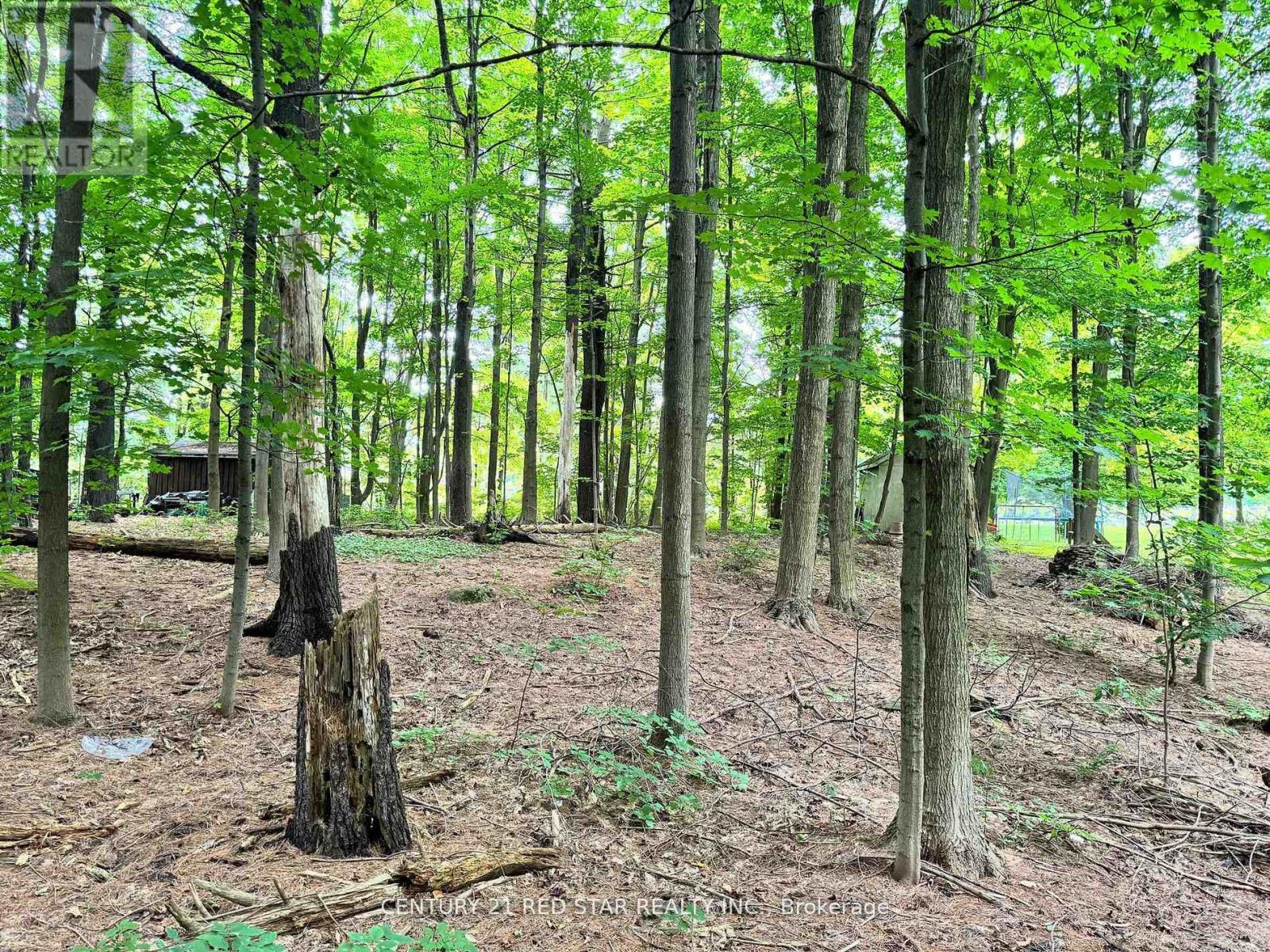 555 Broadway Avenue, Orangeville, Ontario  L9W 6A2 - Photo 6 - W12730634