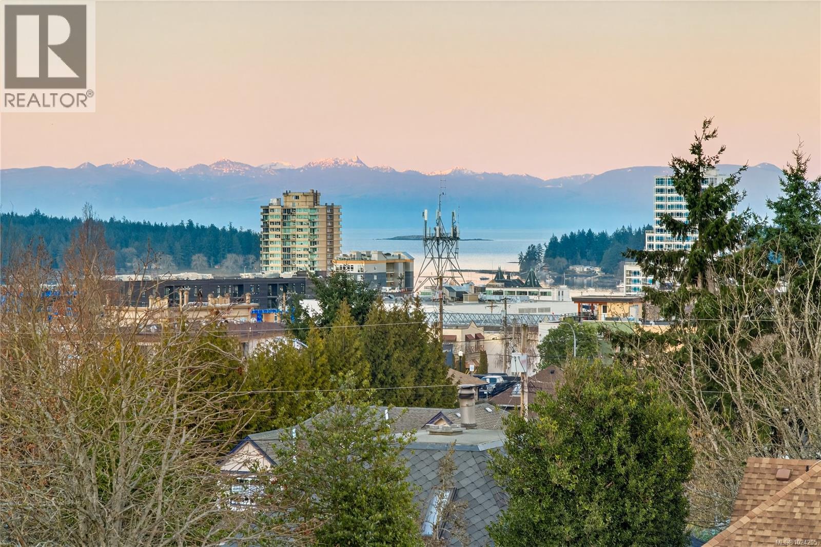 352 Kennedy St, Nanaimo, British Columbia  V9R 2J1 - Photo 12 - 1024205