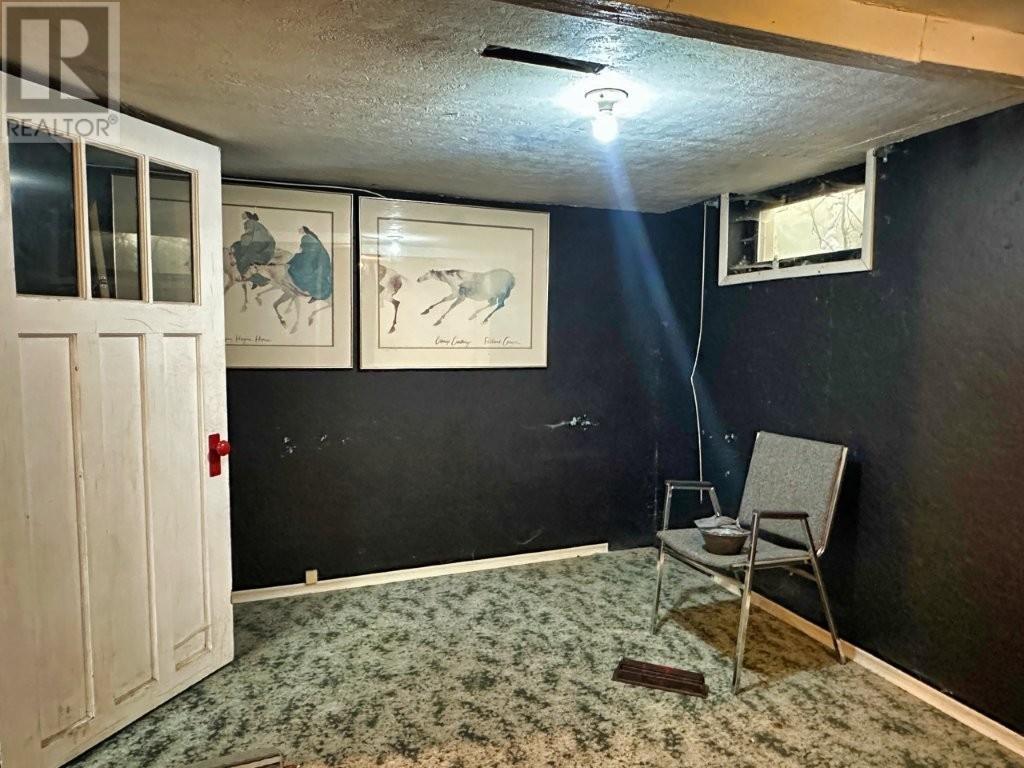 27 Park Rd, Nipigon, Ontario  P0T 2J0 - Photo 25 - TB2600112