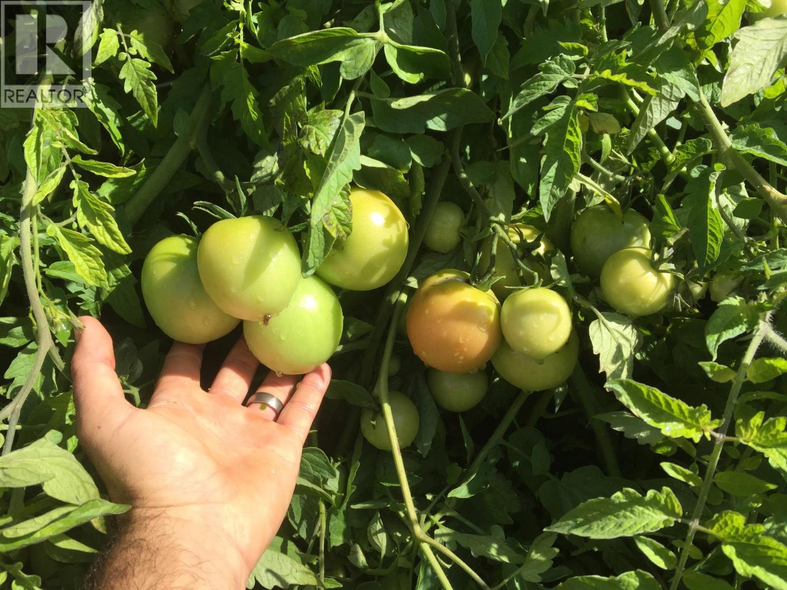 9841 Talbot Road, Nelway, British Columbia V0G 1Z0 - Photo 50 - 10372904