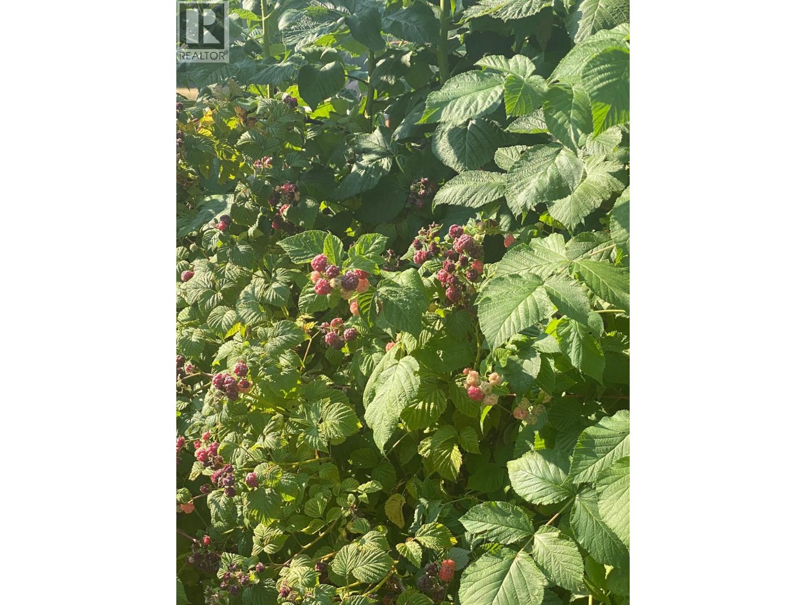 9841 Talbot Road, Nelway, British Columbia V0G 1Z0 - Photo 45 - 10372904