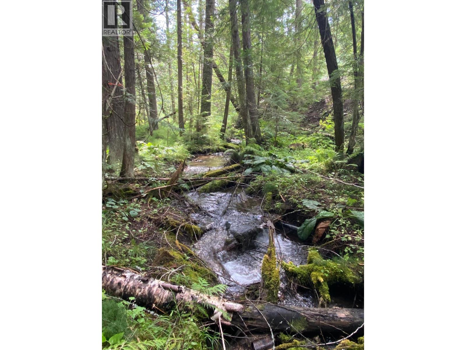 9841 Talbot Road, Nelway, British Columbia V0G 1Z0 - Photo 56 - 10372904