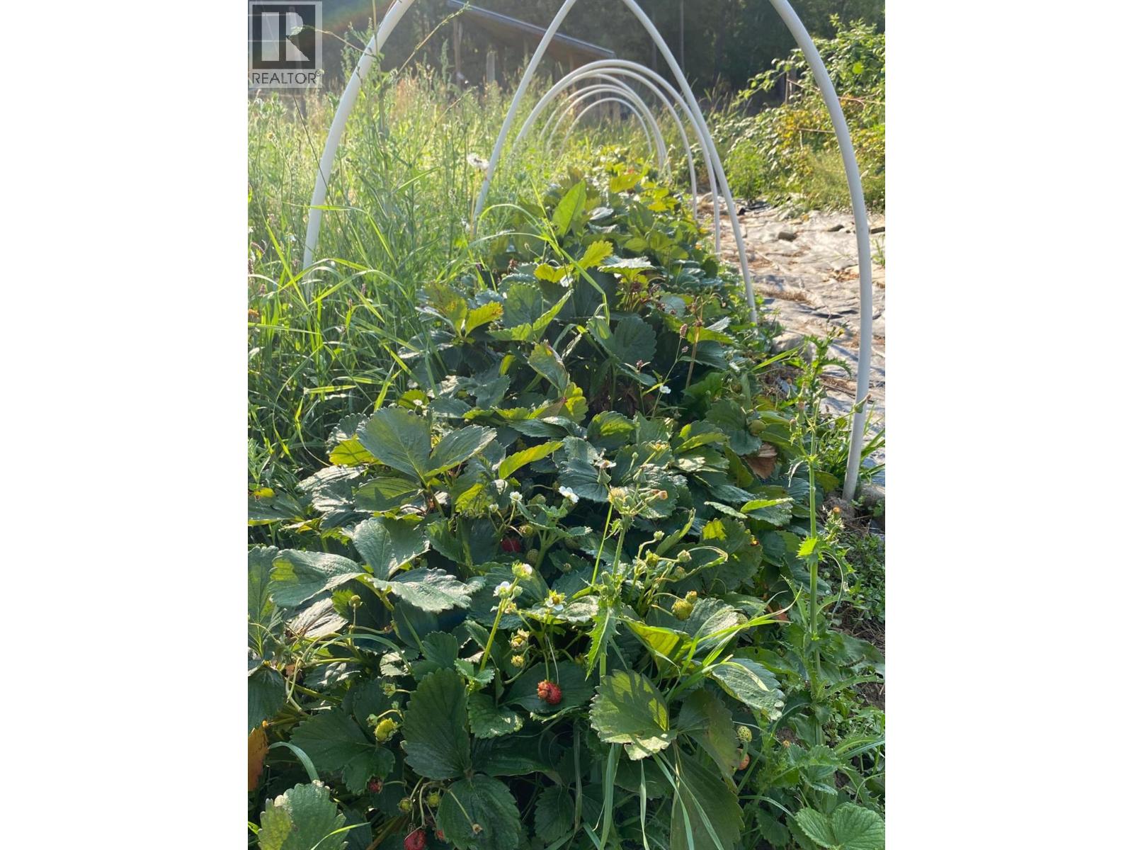 9841 Talbot Road, Nelway, British Columbia V0G 1Z0 - Photo 48 - 10372904