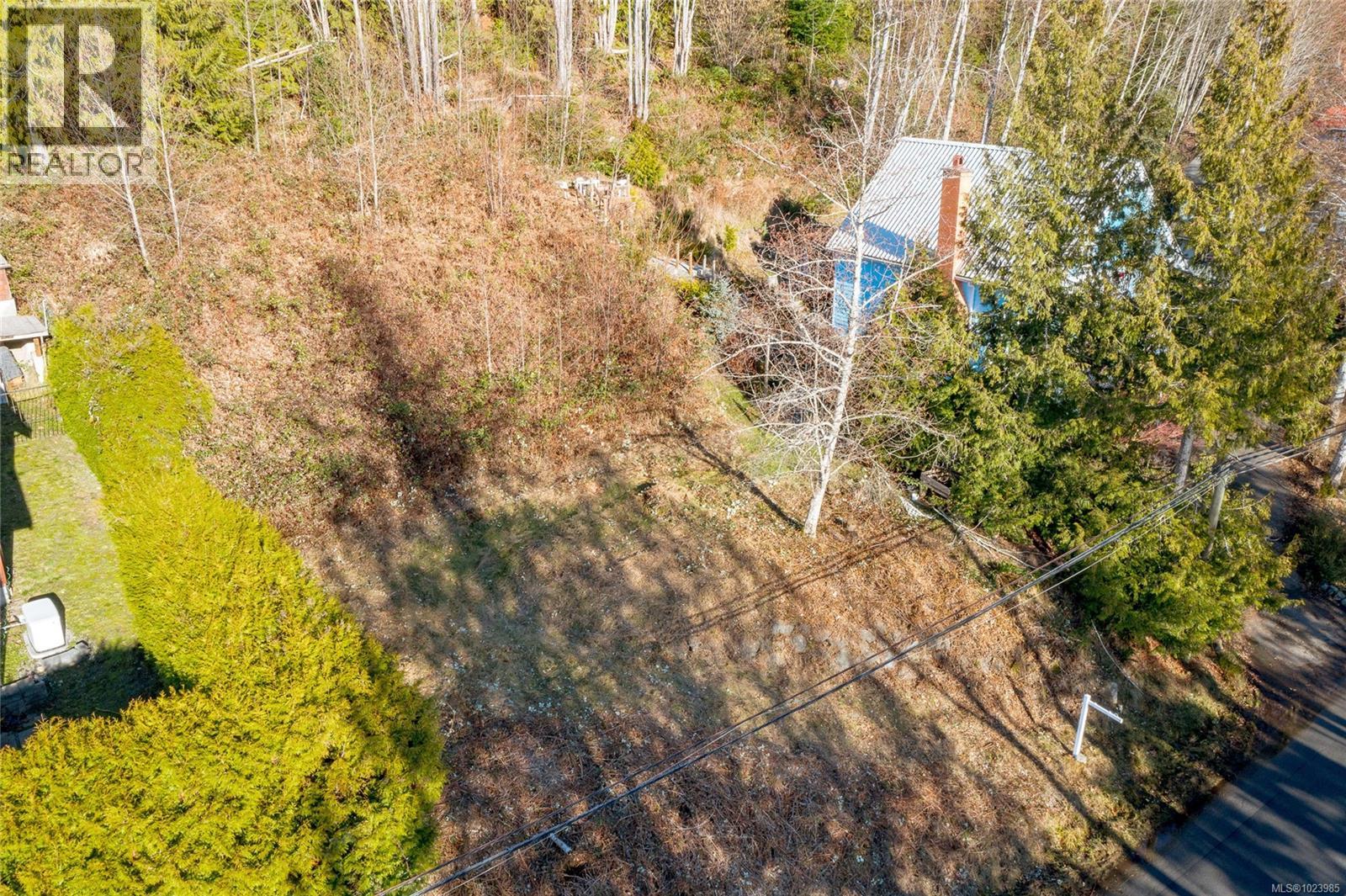 295 North Shore Rd W, Lake Cowichan, British Columbia  V0R 1Y0 - Photo 10 - 1023985