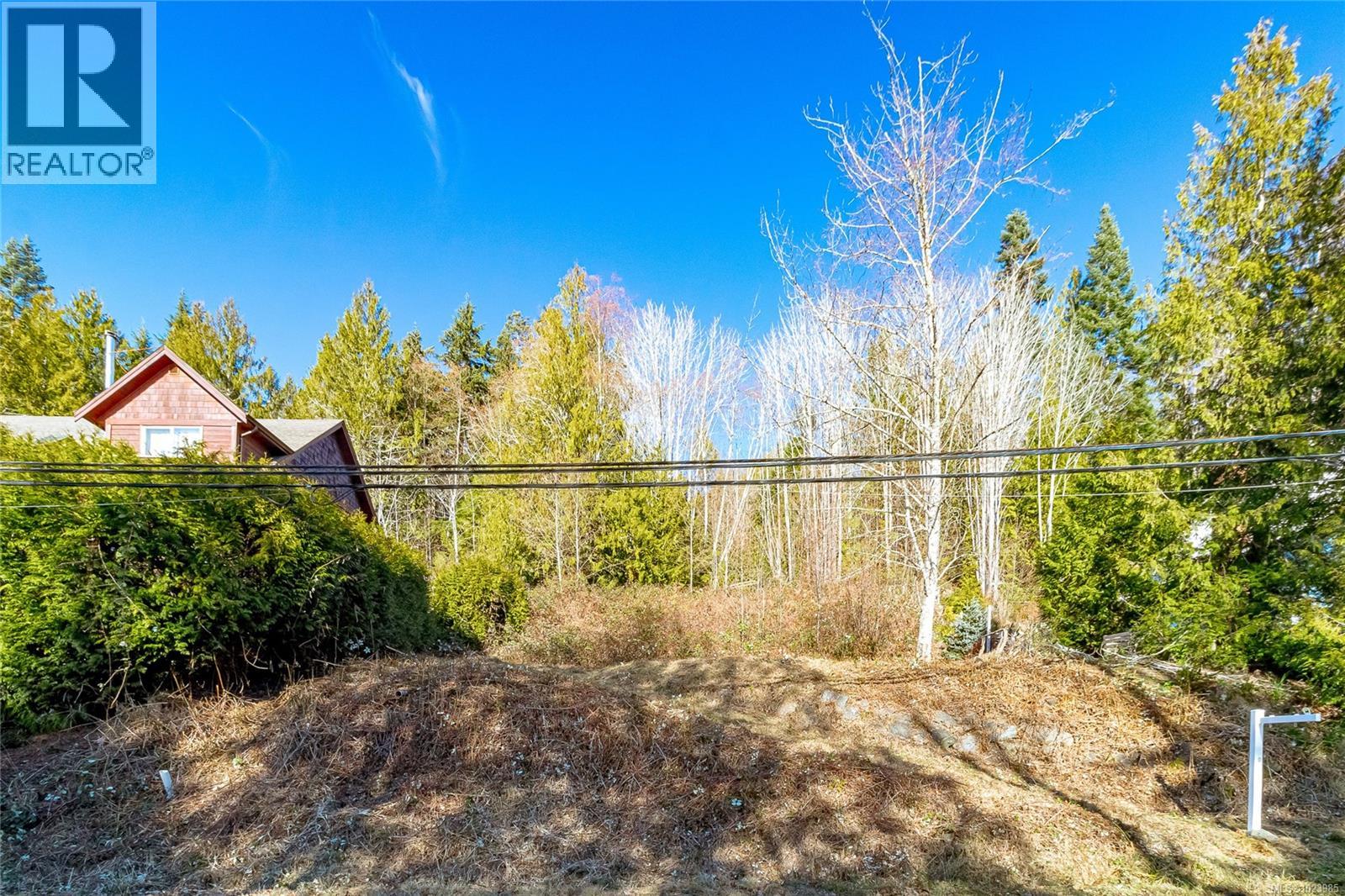 295 North Shore Rd W, Lake Cowichan, British Columbia  V0R 1Y0 - Photo 3 - 1023985