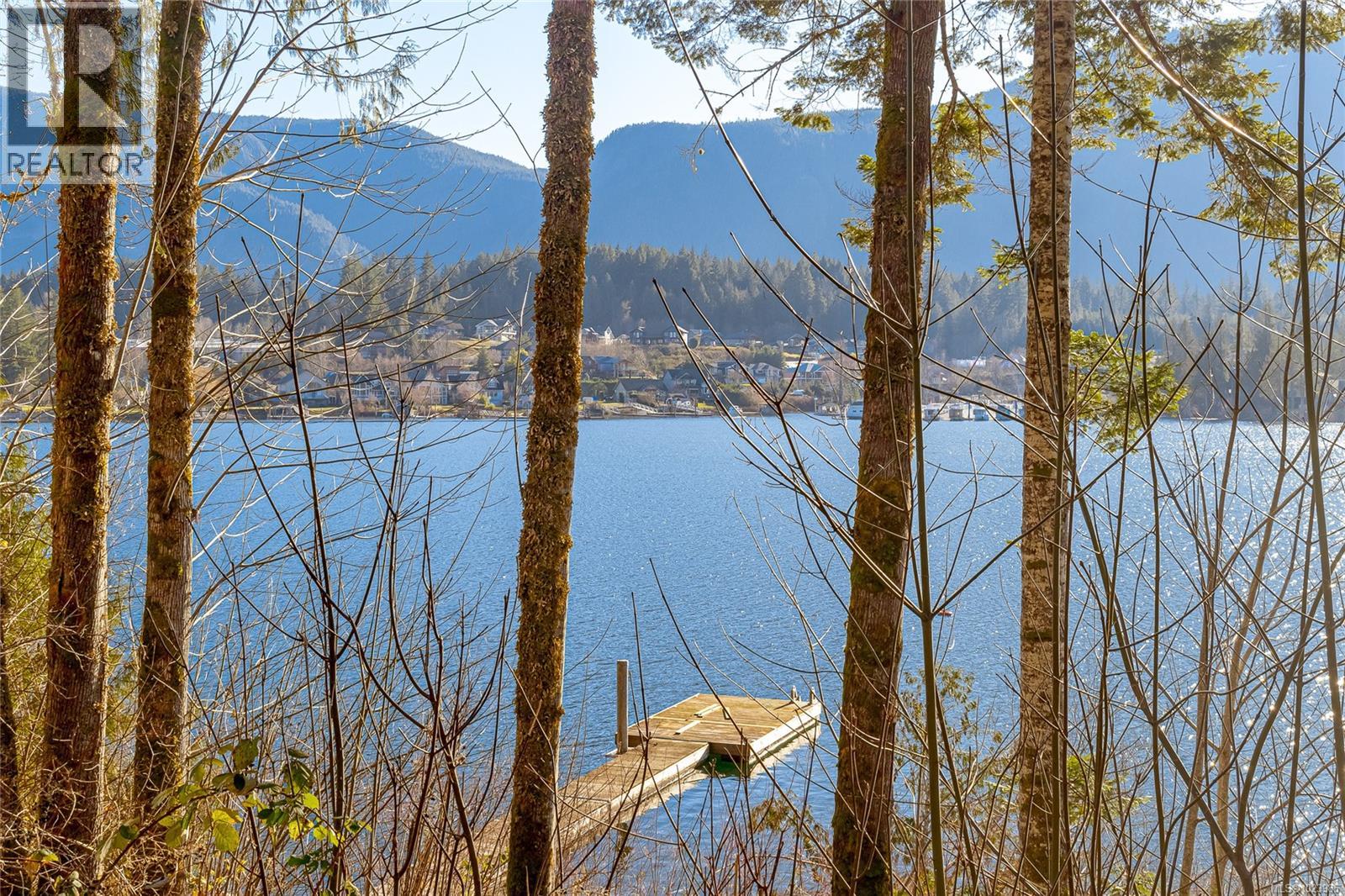 295 North Shore Rd W, Lake Cowichan, British Columbia  V0R 1Y0 - Photo 18 - 1023985