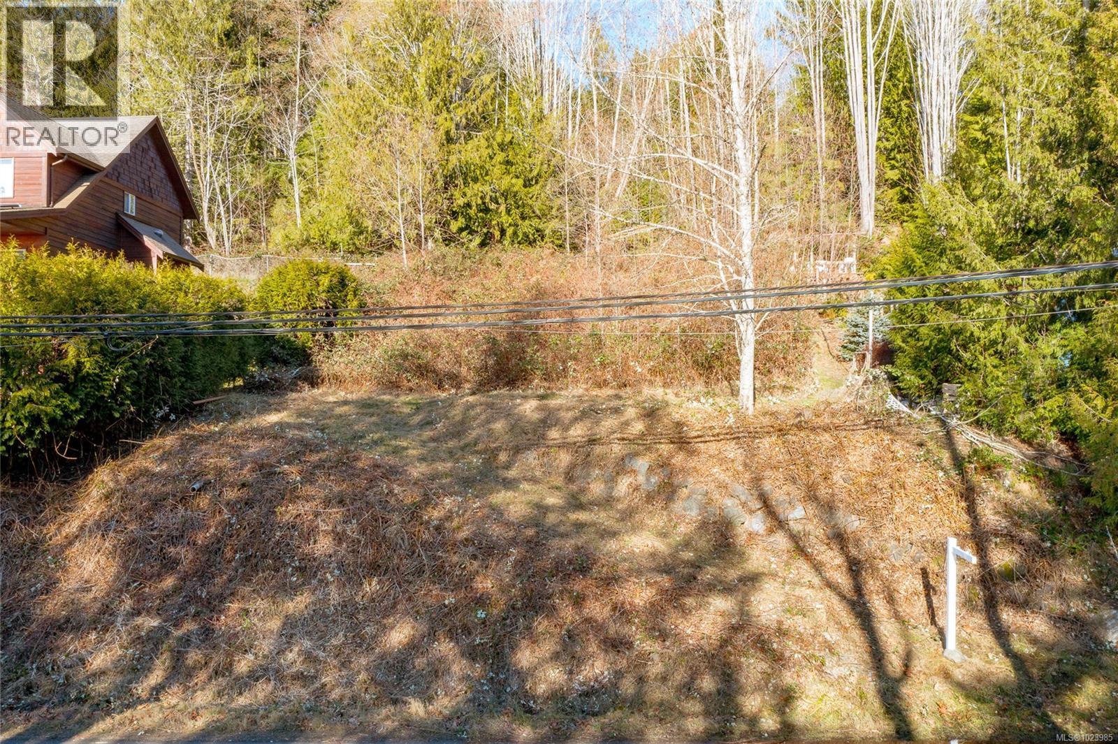 295 North Shore Rd W, Lake Cowichan, British Columbia  V0R 1Y0 - Photo 21 - 1023985