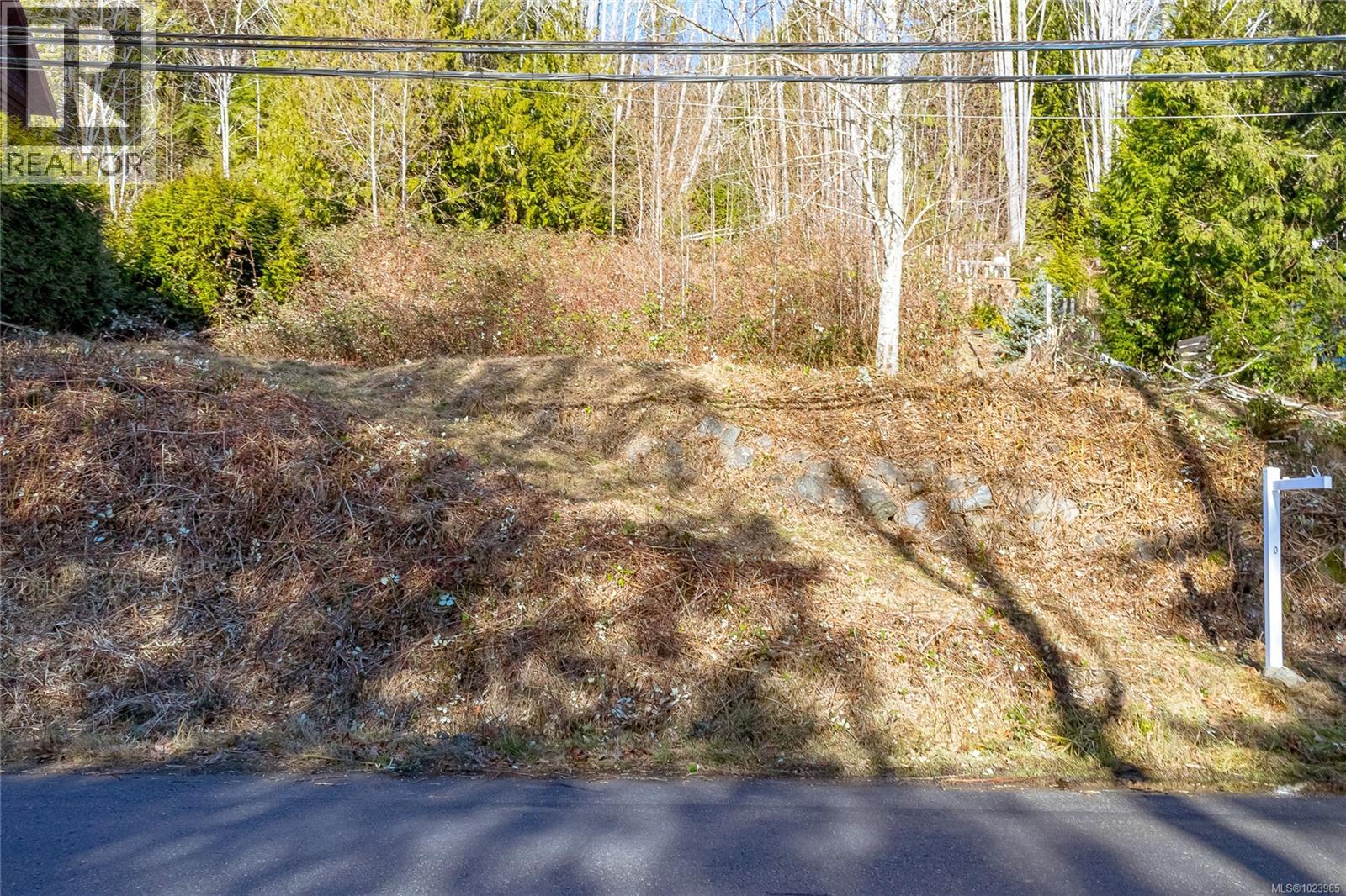 295 North Shore Rd W, Lake Cowichan, British Columbia  V0R 1Y0 - Photo 20 - 1023985