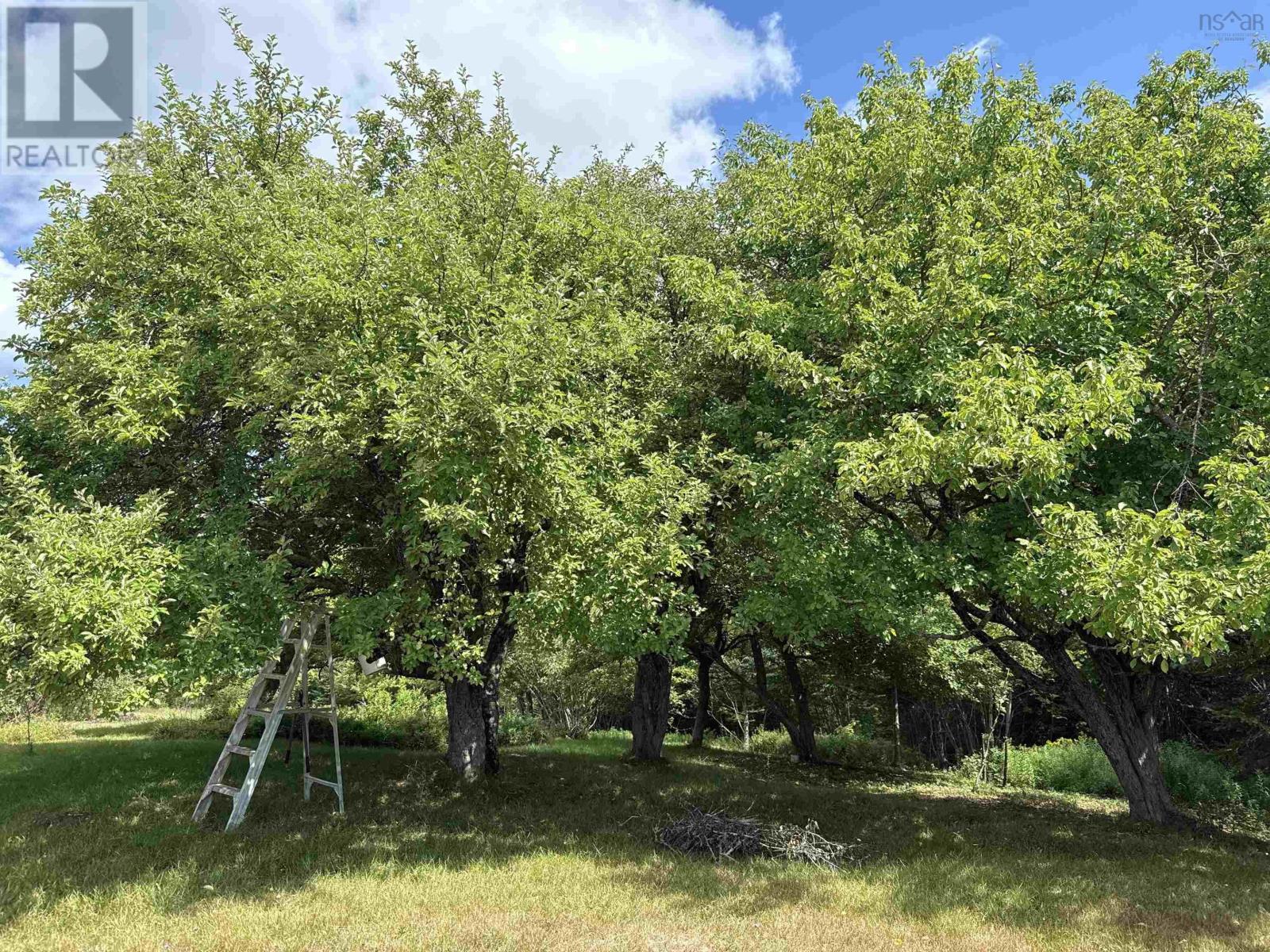 Rear Boisdale, Boisdale, Nova Scotia  B2A 4B3 - Photo 39 - 202601514