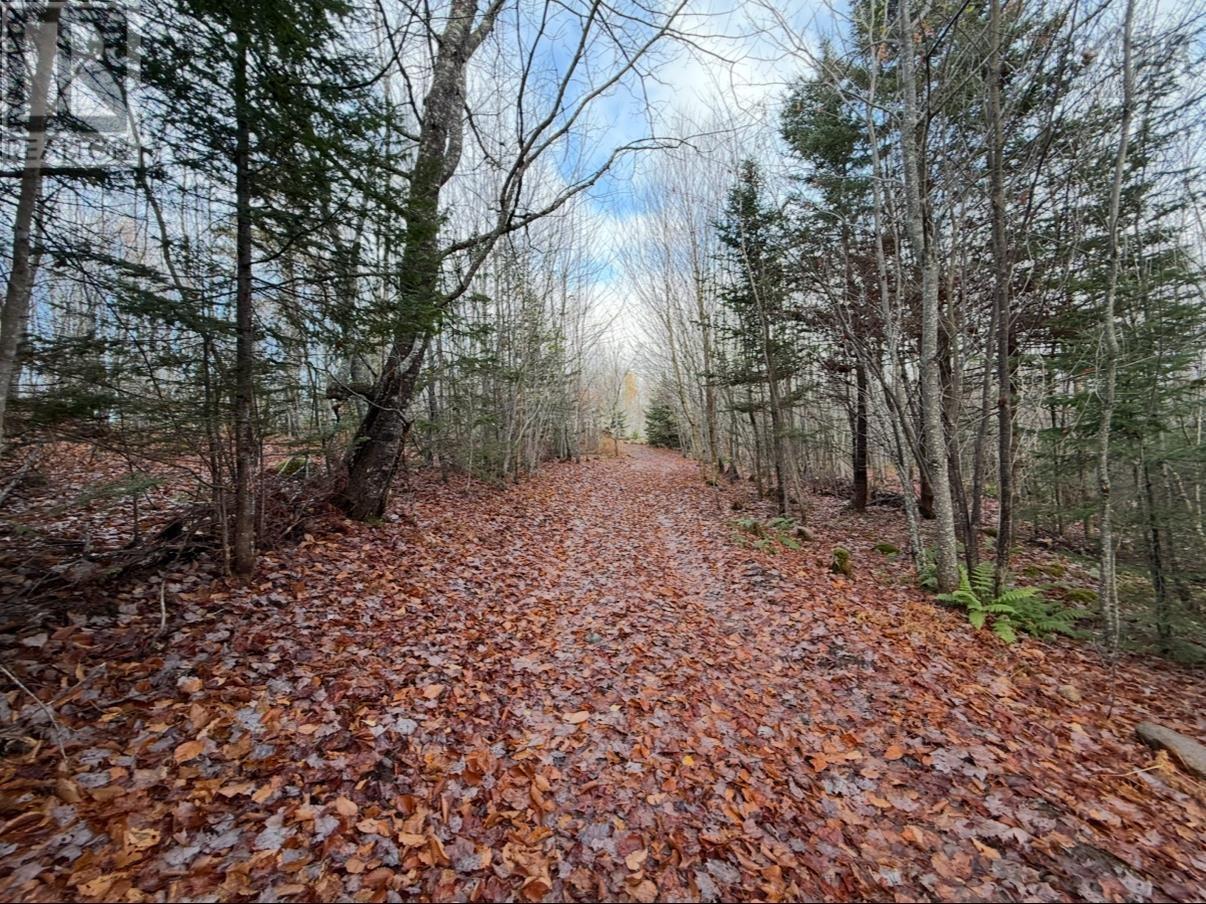 Rear Boisdale, Boisdale, Nova Scotia  B2A 4B3 - Photo 41 - 202601514