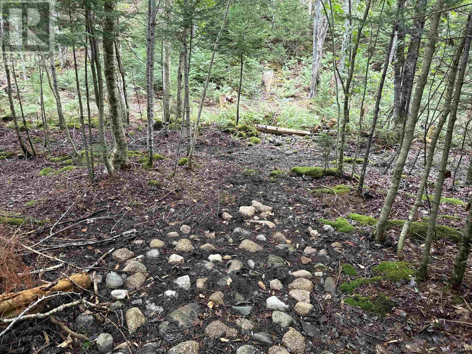 Rear Boisdale, Boisdale, Nova Scotia  B2A 4B3 - Photo 47 - 202601514