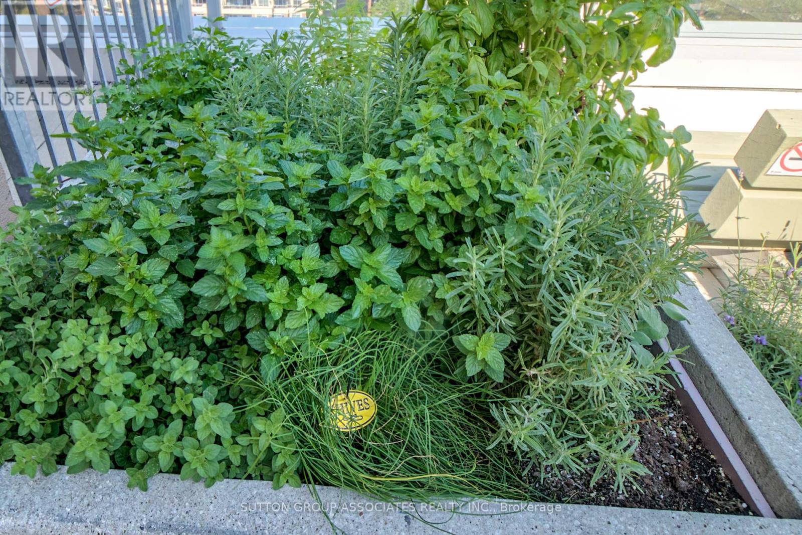 109 - 2 Fieldway Road, Toronto, Ontario  M8Z 0B9 - Photo 27 - W12730872