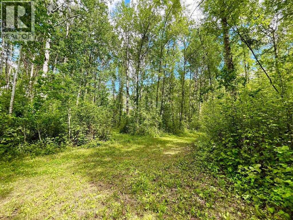 10 15023 Highway 55, Lac La Biche, Alberta  T0A 2C0 - Photo 3 - A2281836