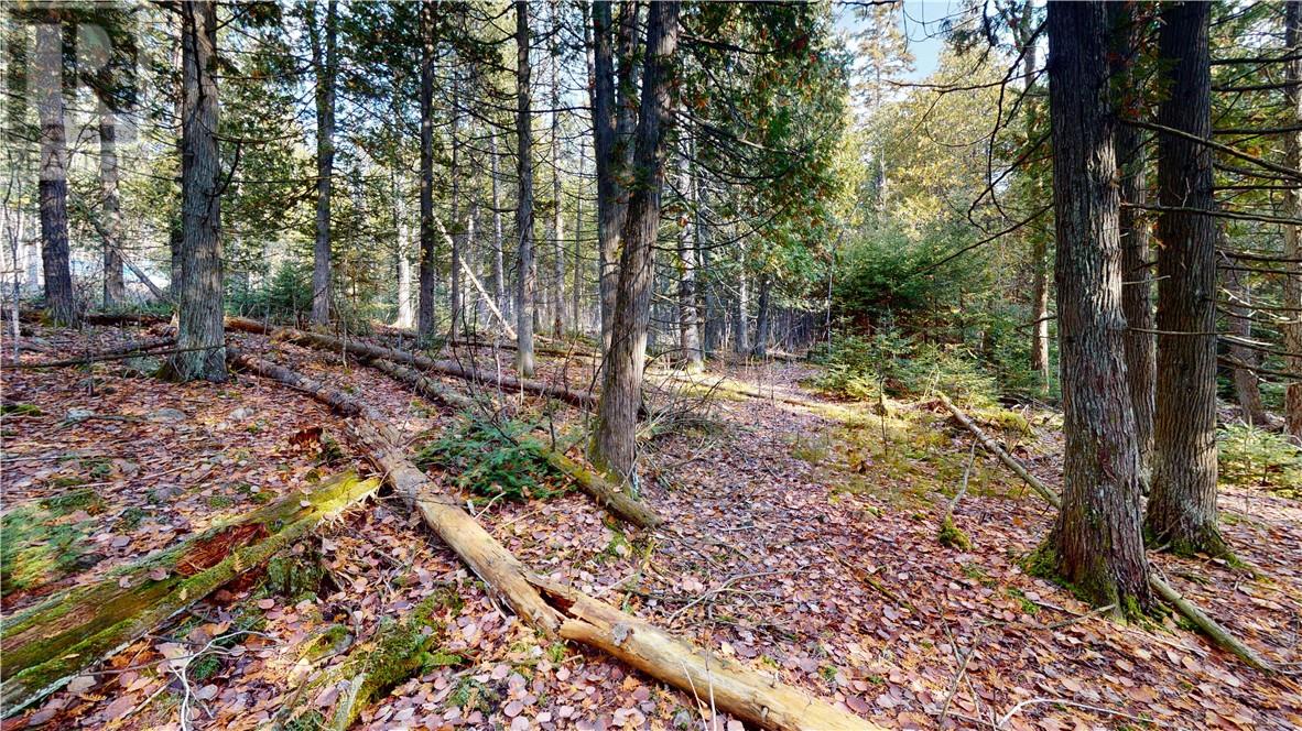 7 Sandy Point, Manitowaning, Ontario  P0P 1N0 - Photo 11 - 2126227