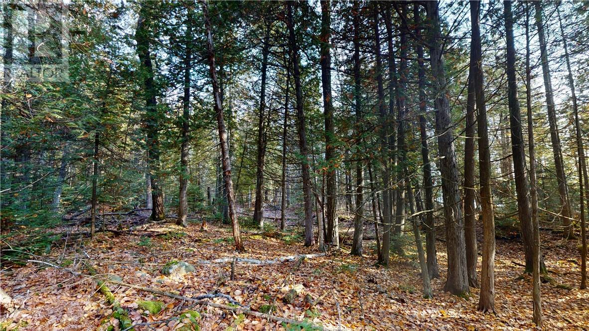 7 Sandy Point, Manitowaning, Ontario  P0P 1N0 - Photo 9 - 2126227