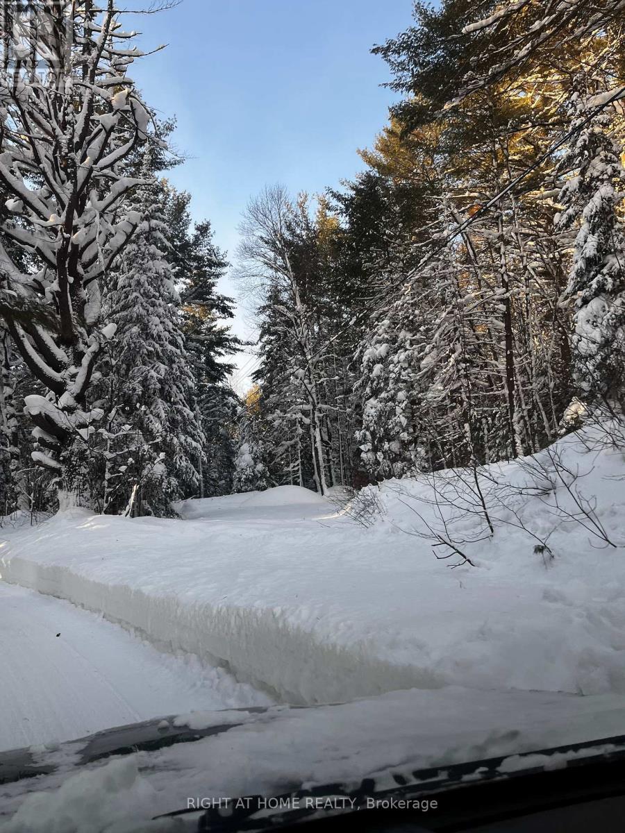 1019 Forrester Trail, Bracebridge, Ontario  P1L 1W9 - Photo 6 - X12729302