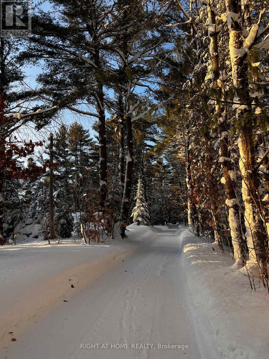 1019 Forrester Trail, Bracebridge, Ontario  P1L 1W9 - Photo 7 - X12729302
