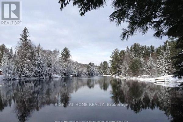 1019 Forrester Trail, Bracebridge, Ontario  P1L 1W9 - Photo 9 - X12729302