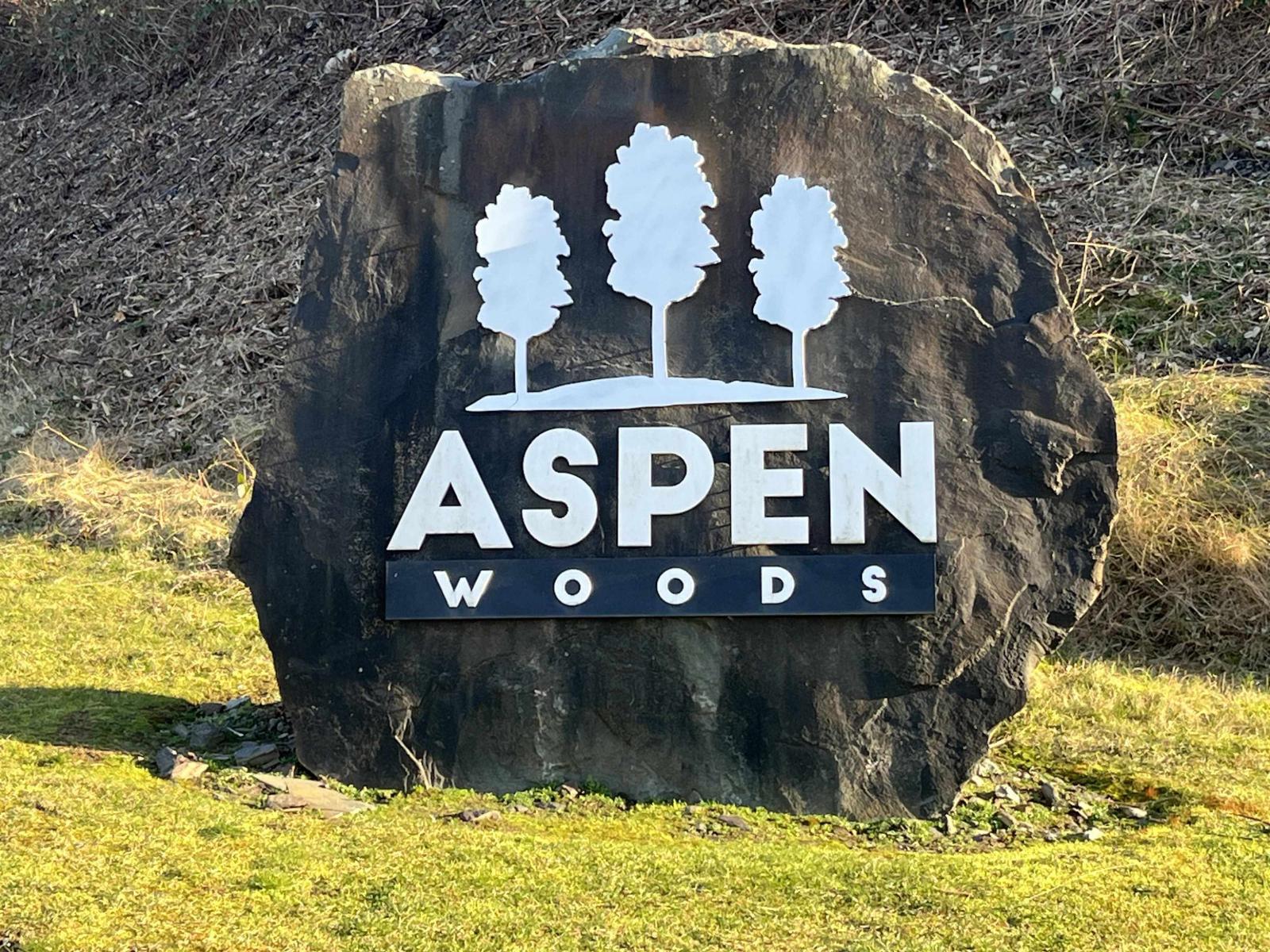 51173 Sophie Crescent, Eastern Hillsides, Chilliwack, British Columbia  V4Z 0C1 - Photo 2 - R3083192