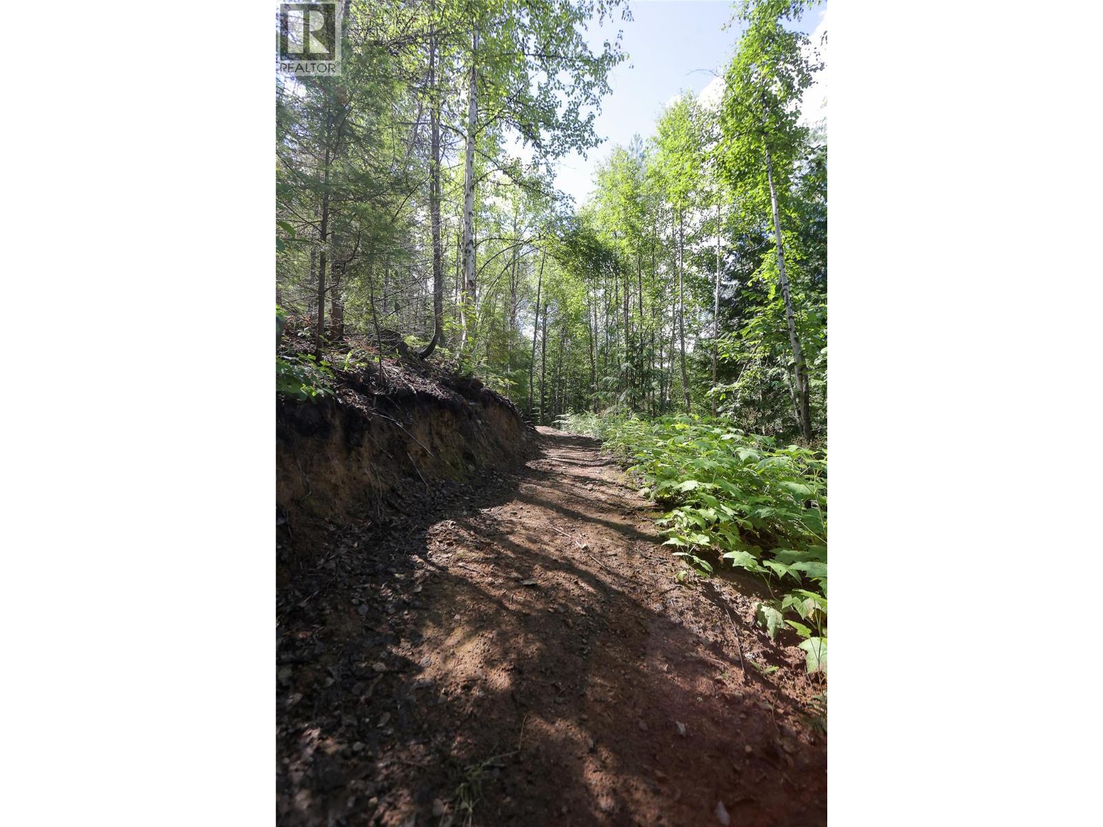 300 Richie Road, Rossland, British Columbia V0G 1Y0 - Photo 23 - 10372252